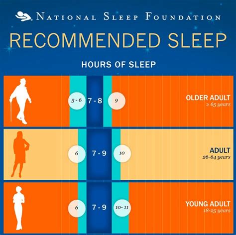 You Snooze You Win The Entrepreneurs Guide To Healthy Sleep Habits