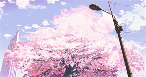 19 Beautiful Anime Girl Under Cherry Blossom Tree