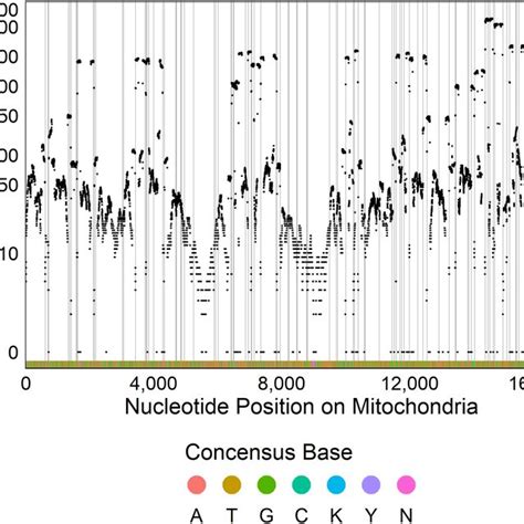 Sequencing Coverage Across Mitochondrial Genome Plot Of The Depth Of