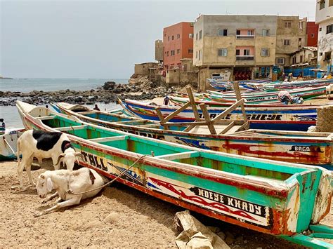 Senegal Travel A Detailed Guide And Itinerary Wild Junket Adventure
