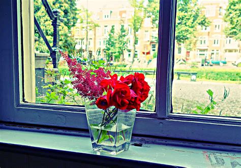 Chamomile Flowers Window Sill Vase Curtain Wallpaper