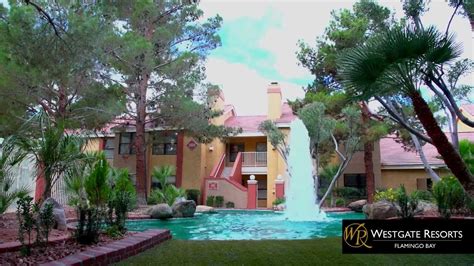 Westgate Flamingo Bay Resort In Las Vegas Nv Youtube