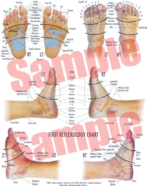 Foot And Hand Reflexology The Tennent Technique Natural Foot Care And