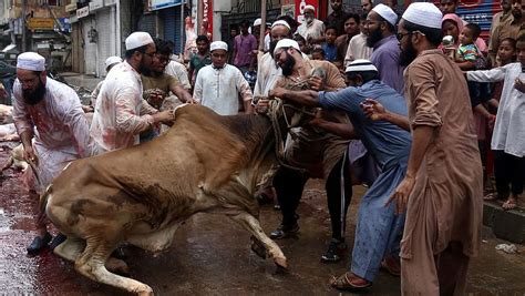 Food insecurity and lack of a diverse diet lead to undernourishment and malnutrition. Muslims sacrificing animals on the occasion of Eidul-Adha ...