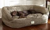 Beds For Dogs Australia