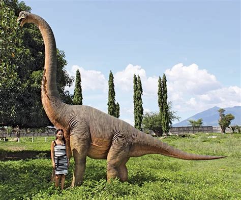 Prehistoric World Brachiosaurus