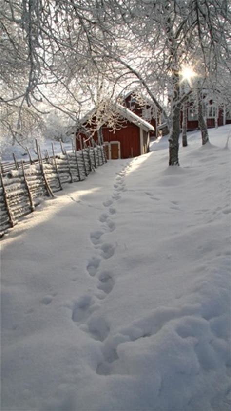 Winter in Åsens | Winter scenery, Winter pictures, Winter scenes