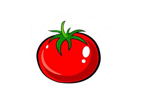 Tomato Drawing At Getdrawings Free Download