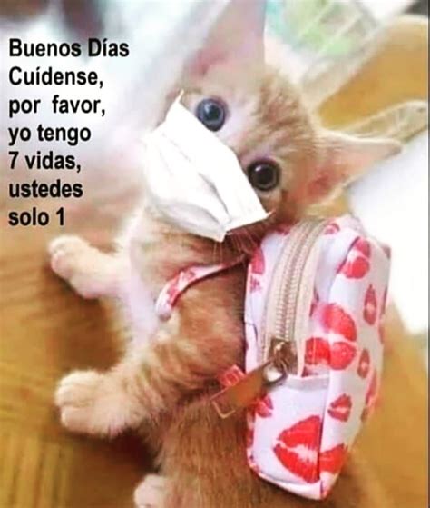 Lcda Carmen S publicó en Instagram viernes exito salud Buenos