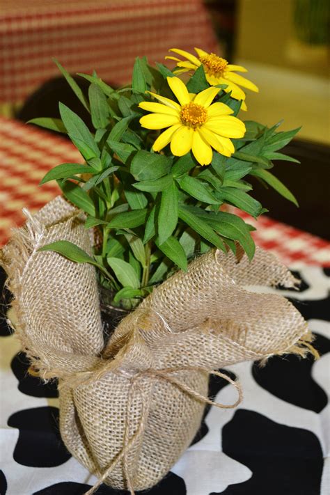 Put the finishing touches on your western shindig with colored tableware, bulk balloons. Pin by Amanda Marshall on VBS * Son West Round Up ...