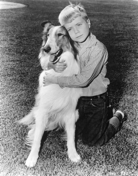 Where Are They Now Jon Provost Timmy From Lassie Boomer Magazine
