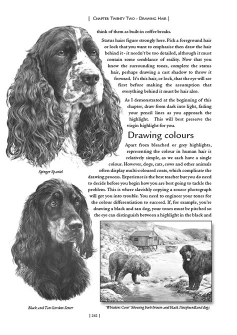 Drawing Hair Chapter 22 Drawing Book By Mike Sibley