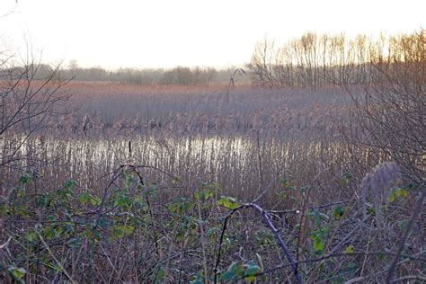 Planning A Funeral | How To Plan Funeral | Remembered Lives