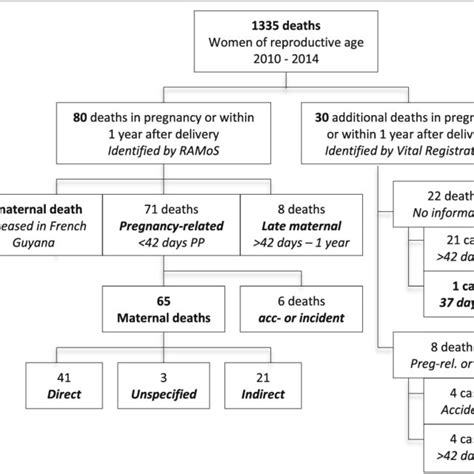 classification of underlying causes of the maternal deaths n 65 download scientific diagram