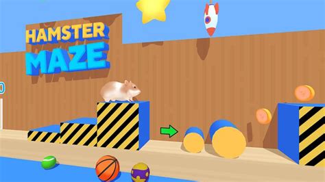 Hamster Maze For Pc Download And Install In 3 Simple Steps Hamster