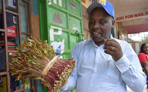 Former kibwezi mp kalembe ndile dies from pancreatic cancer. Major boost to Miraa farmers as they find new market in Israel - AgriNews : SDV