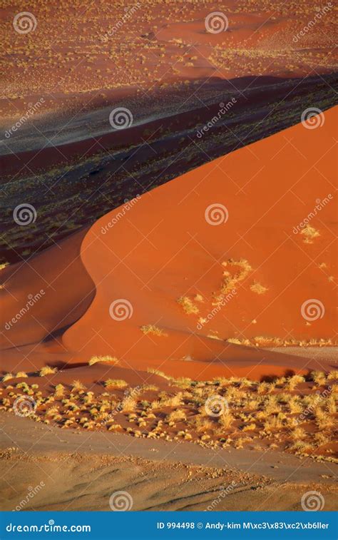 Red Dune In The Namib Desert Stock Photo Image Of Shape Nature 994498