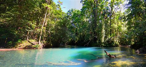 Salmon la sac located west of cle elum. Blue Hole Swimming Hole, Cooper Creek, Daintree National P ...