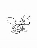 Ant Coloring Insect sketch template