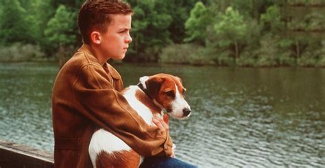 15 Películas Protagonizadas Por Perros Que Todos Los Amantes De Los Canes Deberían Ver Y