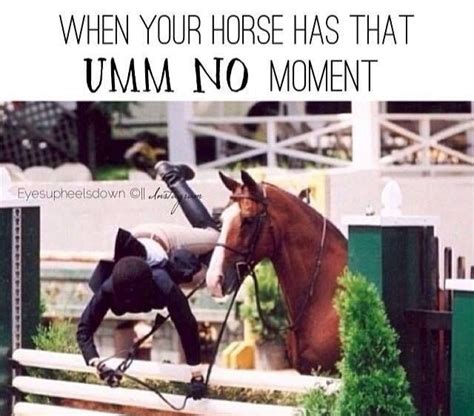 Umm No Funny Horse Memes Funny Horses Horse Jokes