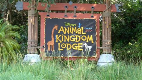Room Tour Disneys Animal Kingdom Lodge Deluxe Studio Villa