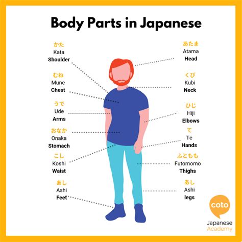 Body Parts In Japanese How To Say Head Hand Leg In Japanese