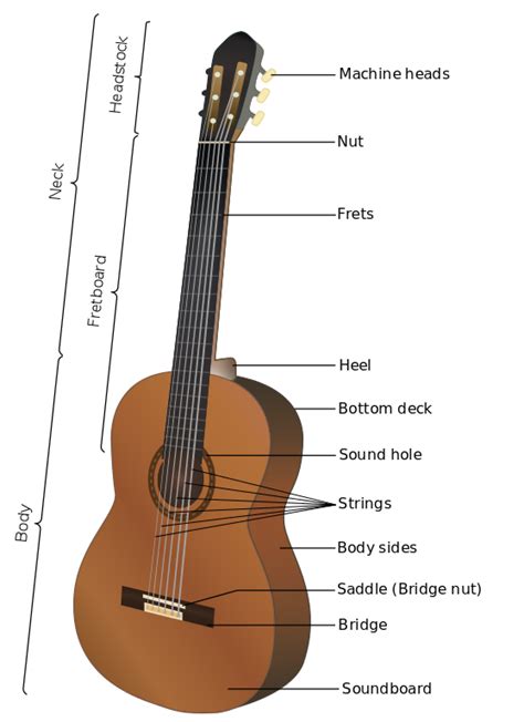 Guitar Anatomy Understanding The Different Parts Of The Guitar
