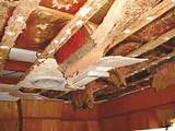 Does House Insurance Cover Termite Damage Images