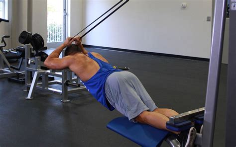 Band Assisted Nordic Hamstring Curl Video Exercise Guide And Tips