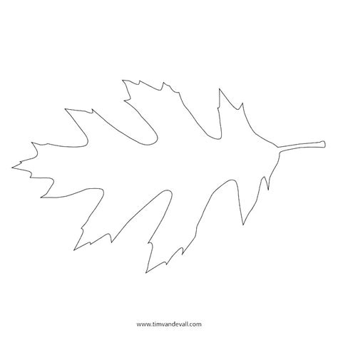 Oak Leaf Drawing Template At Explore Collection Of
