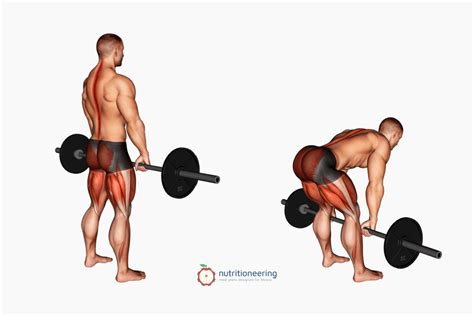 7 Best Barbell Hamstring Exercises With Videos