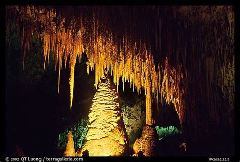 Carlsbad Caverns National Park Stalactites And Columns In Big Room