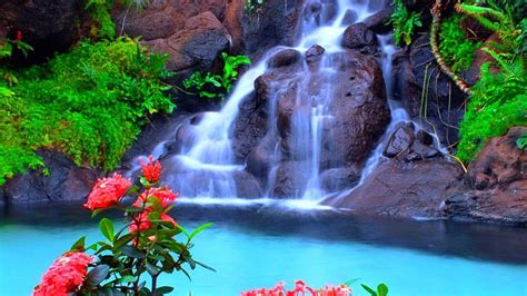 Beautiful Waterfall Beautifuil Rocks Lovely Park Cascades Summer