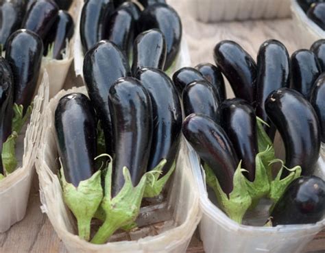 We All Deserve Eggplants In Fall The Japan Times