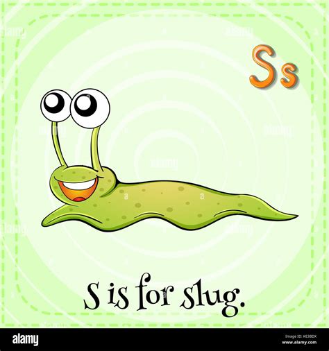 Flashcard Letter S Is For Slug Stock Vector Image And Art Alamy