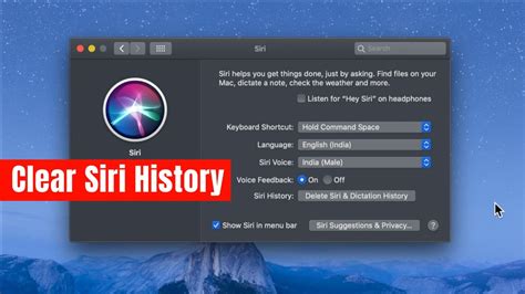 How To Clear Your Siri History On MacOS Catalina YouTube