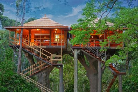 Top 20 Treehouse In Kerala Book And Stay In Treehouse Resort In Kerala