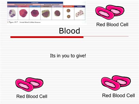 Ppt Blood Powerpoint Presentation Free Download Id9533637