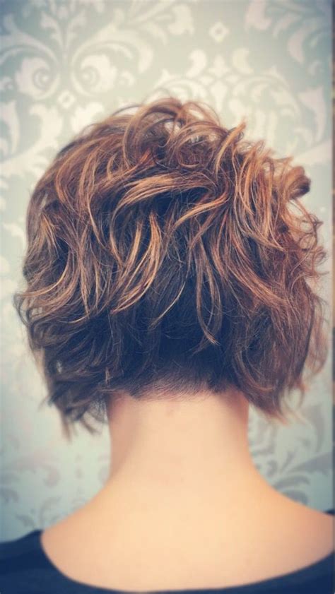 24 Back View Of Short Curly Hairstyles Hairstyle Catalog