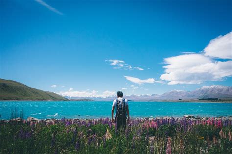 8 Best Things To Do In Lake Tekapo And Mt Cook In 2024