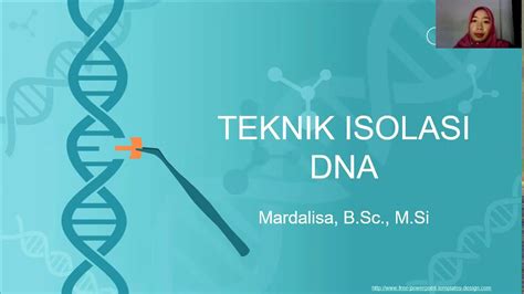 Teknik Isolasi DNA Ekstraksi DNA Genome YouTube