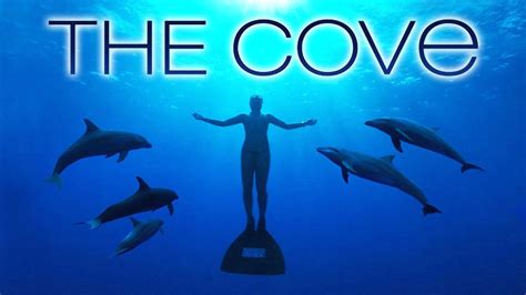 The cove tells the amazing true story of how an elite team of individuals, films makers and free divers embarked on a covert mission to penetrate the hidden cove 123movies is a free movies streaming site with zero ads. The Cove -- Movie Review #JPMN - YouTube