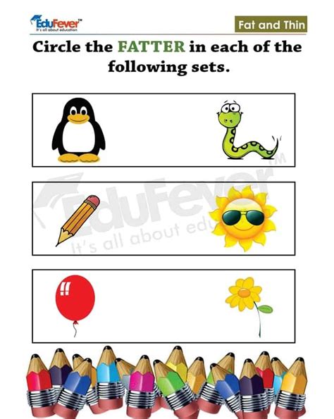 Class Lkg Fat And Thin Maths Worksheets In Pdf For Kindergarten
