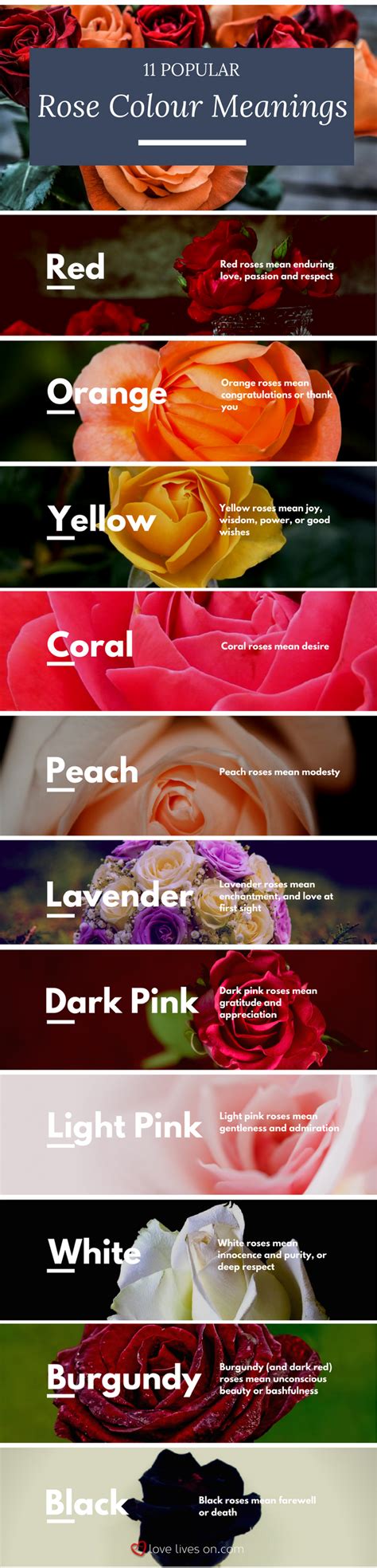 Funeral Flowers And Their Meanings The Ultimate Guide Lavender