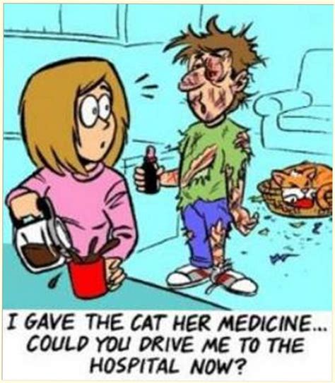 Todays Catnip Comic Album On Imgur Cat Jokes Crazy Cats Sick Cat