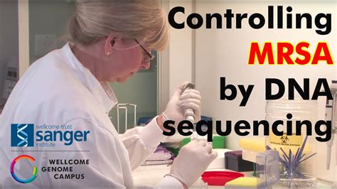 Controlling Mrsa By Dna Sequencing Sanger Institute Youtube