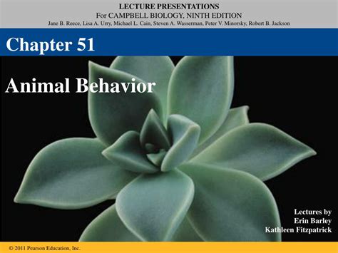 Ppt Animal Behavior Powerpoint Presentation Free Download Id1143410