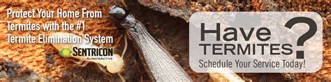 Our owner, chris bavosa, has been in the pest control business for over 10 years. Barnett Pest Solutions-Termite Elimination and Prevention