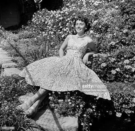 Donna Reed Photos And Premium High Res Pictures Getty Images